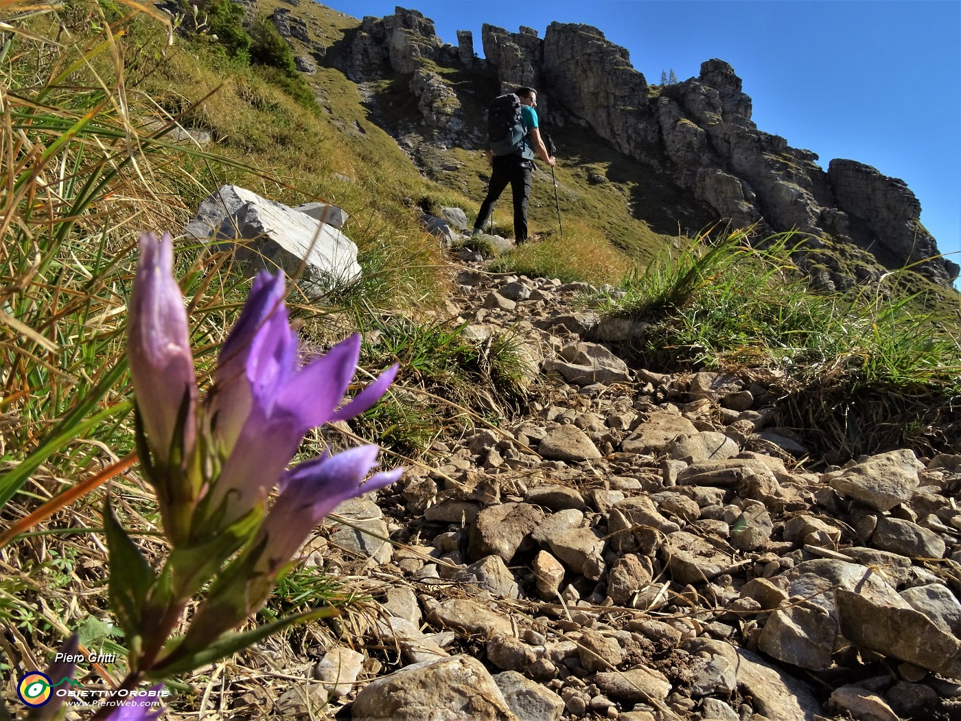 18 Gentiana anisodonta con vista su imponenti roccioni.JPG